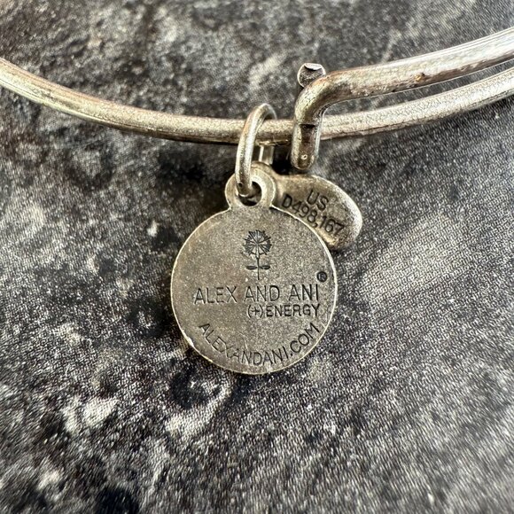 Alex and Ani Apple Charm Bracelet Silver Nature Expandable Bangle - Picture 7 of 14